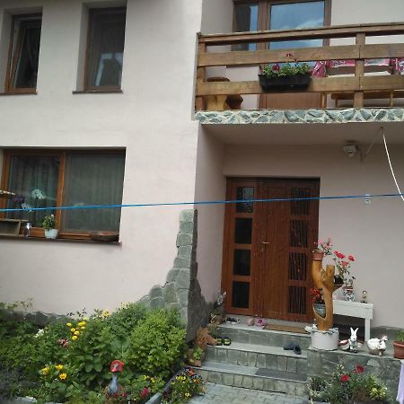 Casa Teo Hotel Ocna Sibiului Bagian luar foto