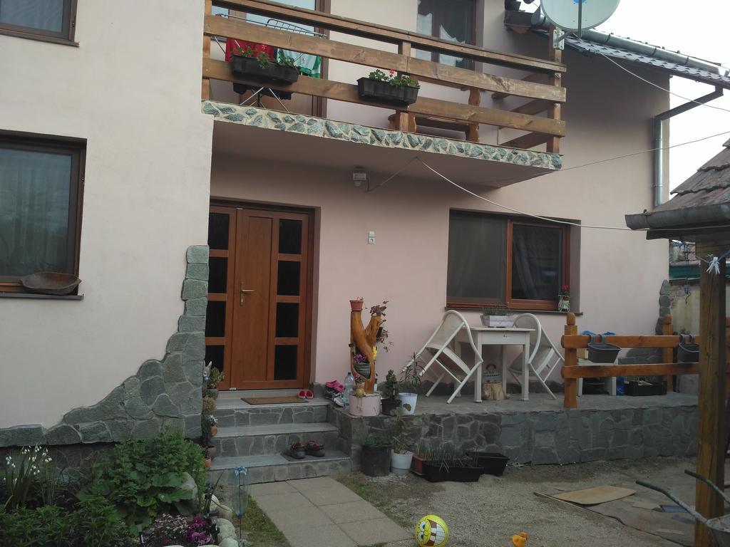 Casa Teo Hotel Ocna Sibiului Bagian luar foto