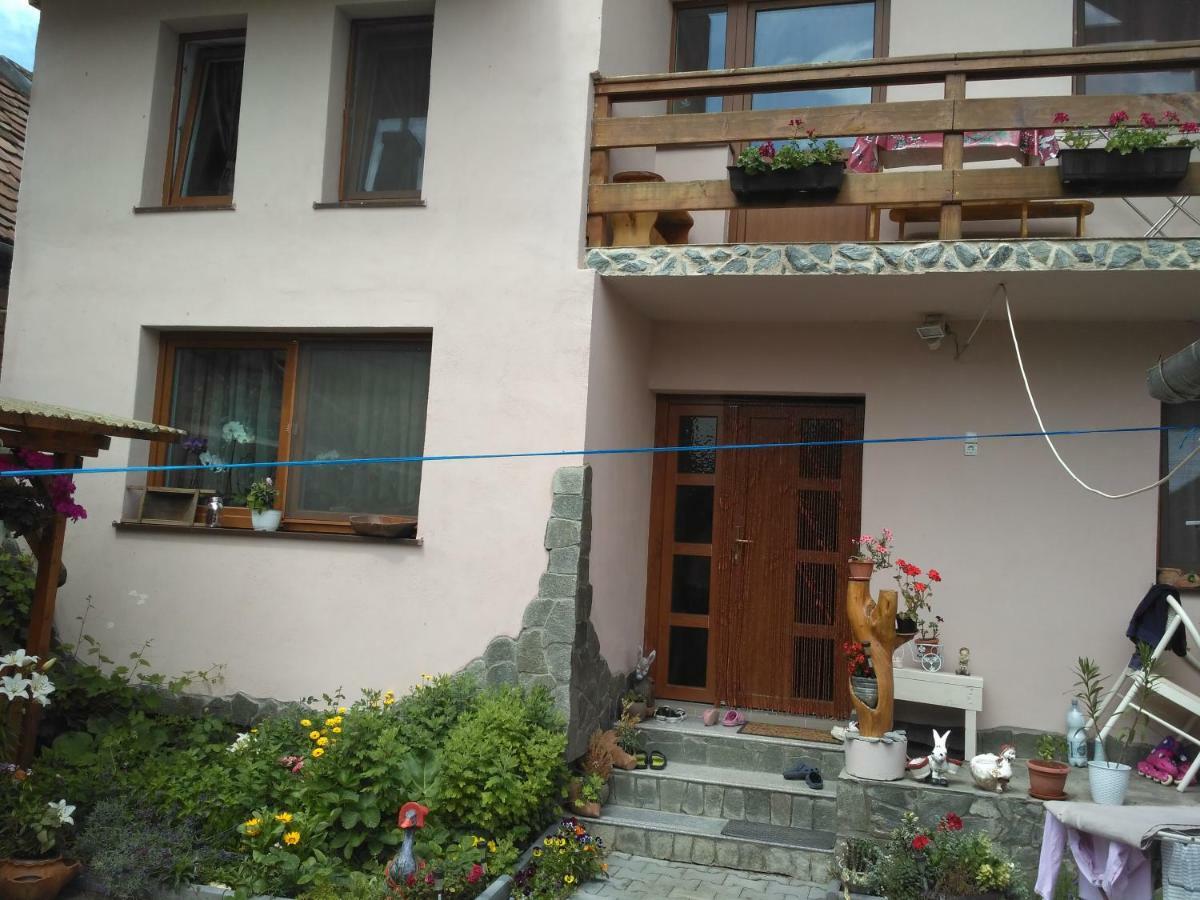 Casa Teo Hotel Ocna Sibiului Bagian luar foto